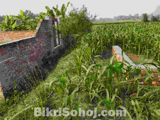 জমি বিক্রয় : ৫ কাঠা (৮.২৫ শতক), ফোর্ড নগর